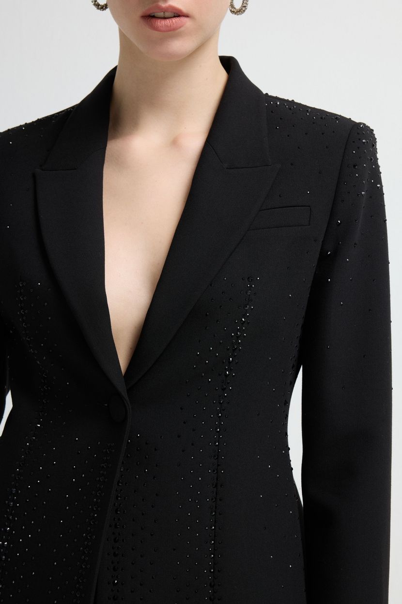 Siyah Night Zoom Taş Detaylı Blazer Ceket 11946084000-001 | adL