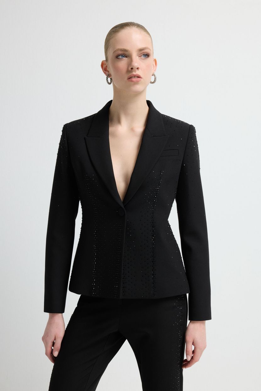 Siyah Night Zoom Taş Detaylı Blazer Ceket 11946084000-001 | adL